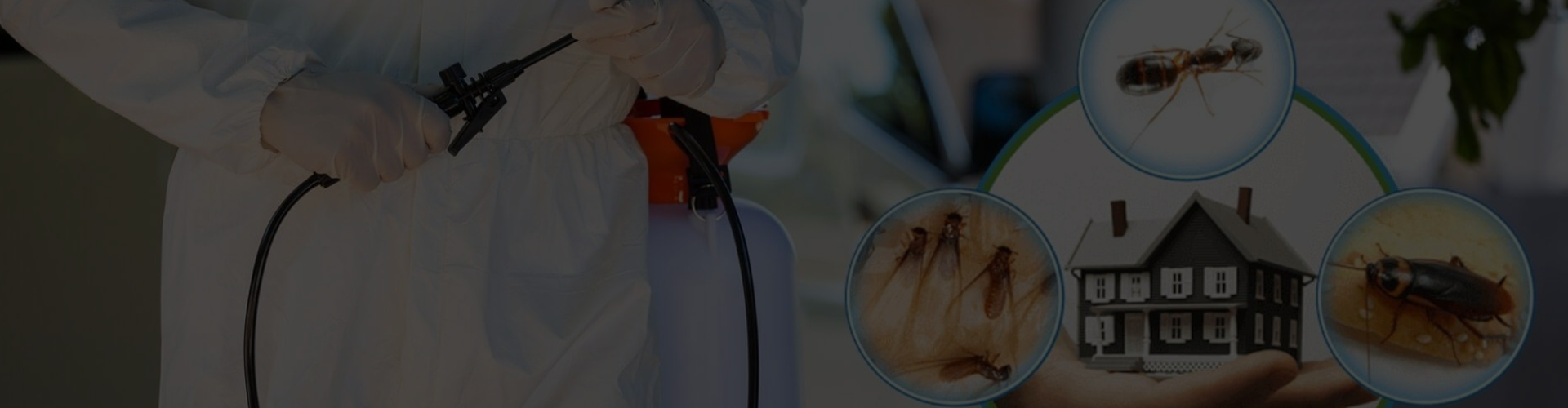 ASA Pest Control Saskatoon