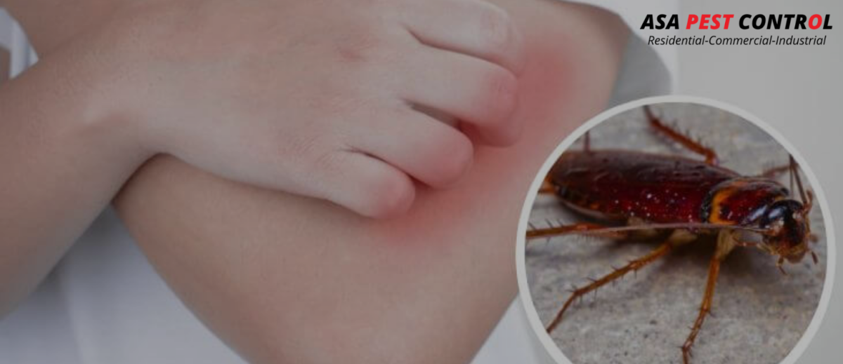 Five Signs You Have a Cockroach Infestation