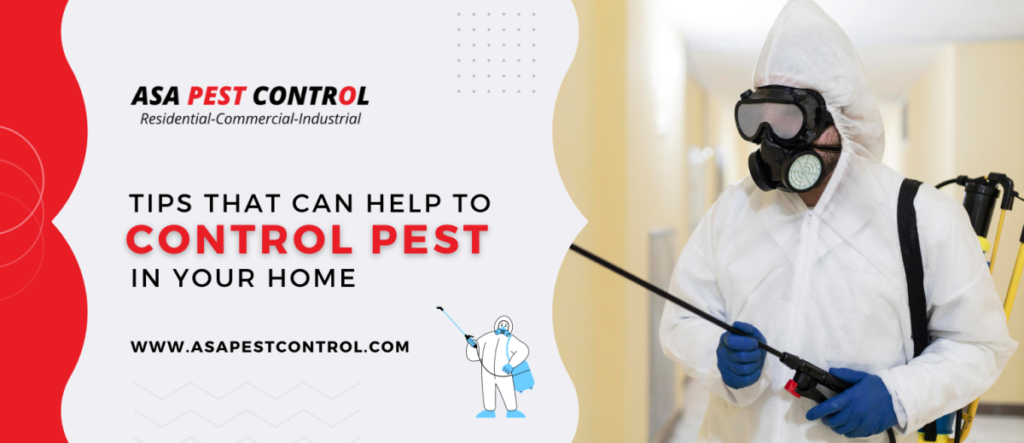 controil pest in your home