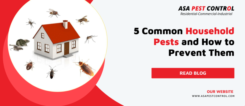 5-Common-Household-Pests-and-How-to-Prevent-Them