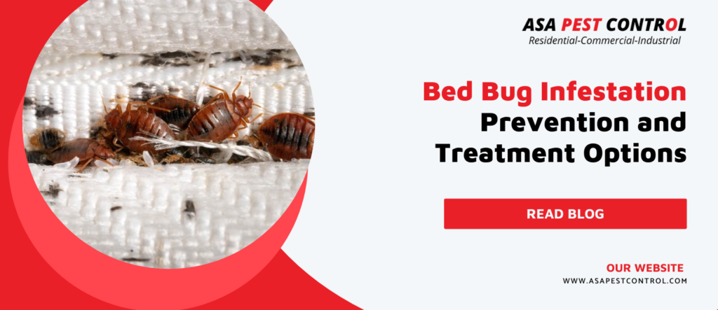 Bed-Bug-Infestation-Prevention-and-Treatment-Options