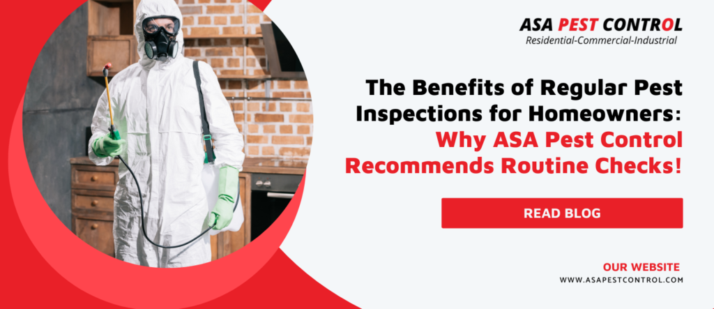 The-Benefits-of-Regular-Pest-Inspections-for-Homeowners-Why-ASA-Pest-Control-Recommends-Routine-Checks