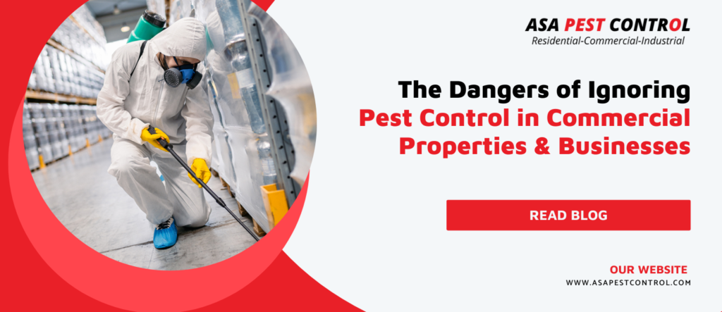 The-Dangers-of-Ignoring-Pest-Control-in-Commercial-Properties-Businesses