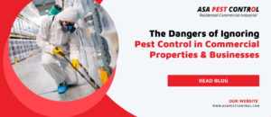 The-Dangers-of-Ignoring-Pest-Control-in-Commercial-Properties-Businesses