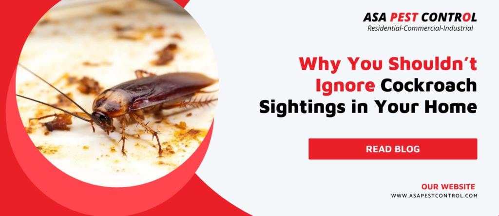 Why-You-Shouldnt-Ignore-Cockroach-Sightings-in-Your-Home