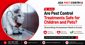 Are Pest Control Treatments Safe for Children and Pets?