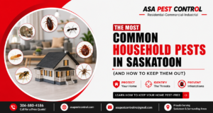 The Most Common Household Pests in Saskatoon (And How to Keep Them Out)