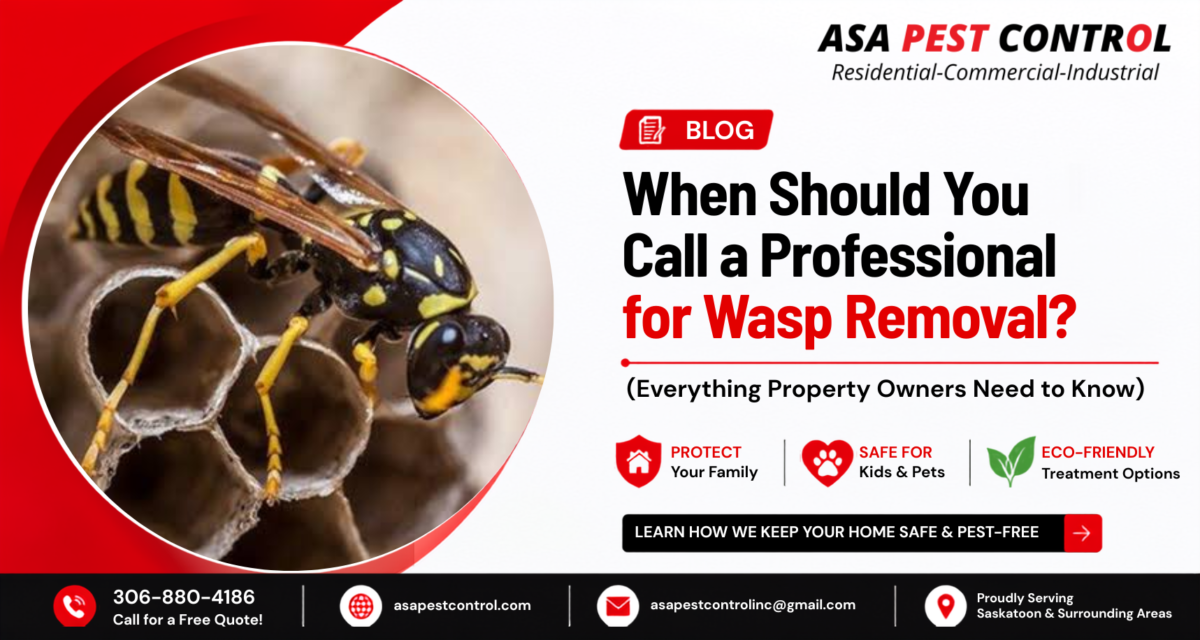 When Should You Call a Professional for Wasp Removal?