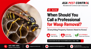 When Should You Call a Professional for Wasp Removal?
